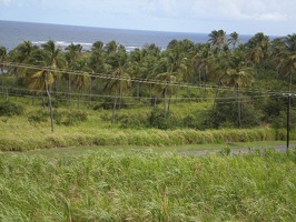 St Kitts Train Ride34